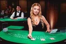 rajabuaya89 Jungle Delight Menunggu di Lobby anda